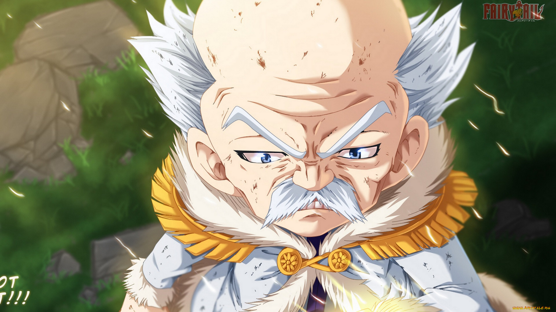 , fairy tail, 